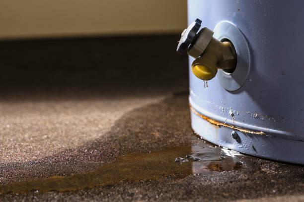 Best Professional water damage repair  in Flat Rock, NC