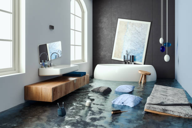 Best 24-hour water damage restoration  in Flat Rock, NC