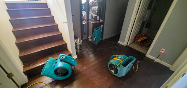 Best Water damage cleanup near me  in Flat Rock, NC