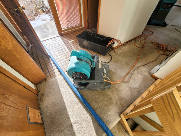 Best Basement water damage restoration  in Flat Rock, NC