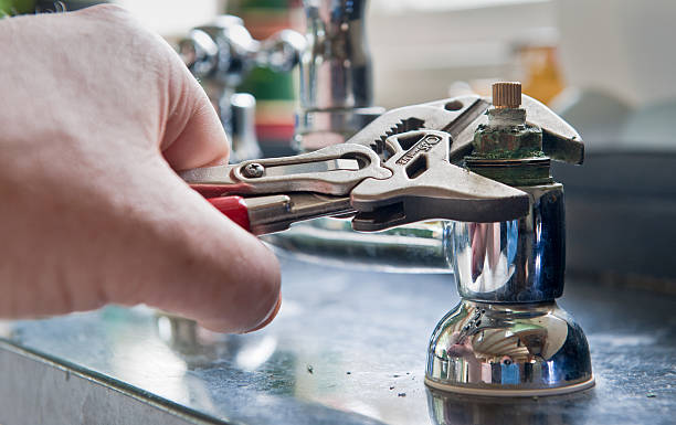 Best Mold removal after water damage  in Flat Rock, NC