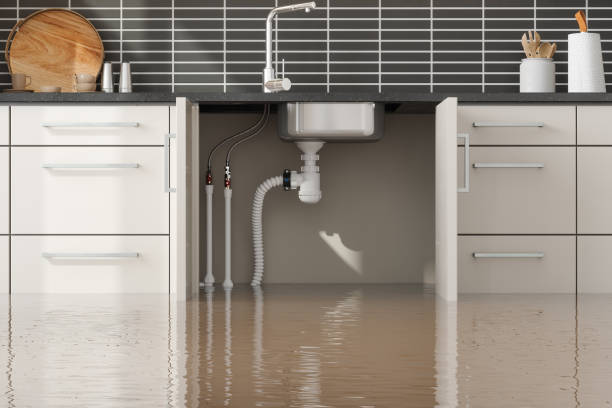 Best Residential water damage restoration  in Flat Rock, NC