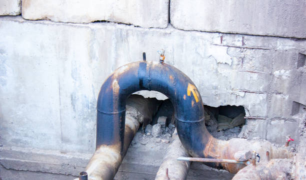 Best Carpet water damage restoration  in Flat Rock, NC